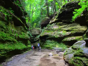Turkey Run State Park