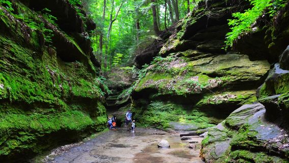 Turkey Run State Park