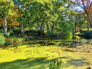 Rhododendronpark Bremen