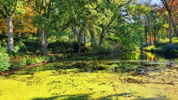 Rhododendronpark Bremen