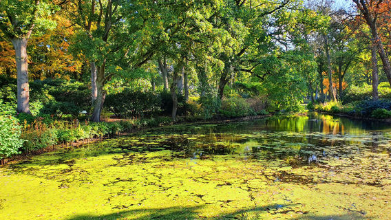 Rhododendronpark Bremen