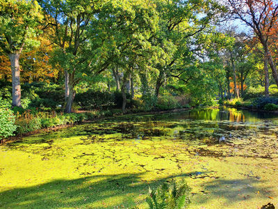 Rhododendronpark Bremen