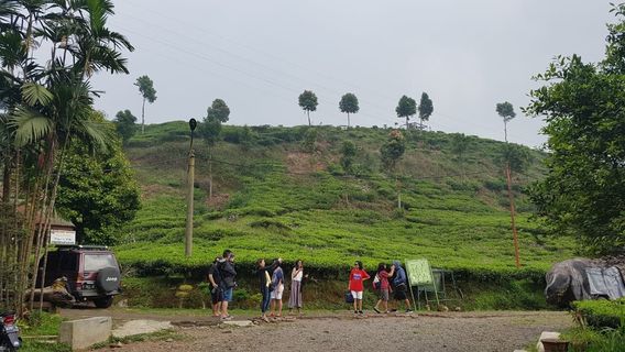 Telaga Warna Resort & Resto