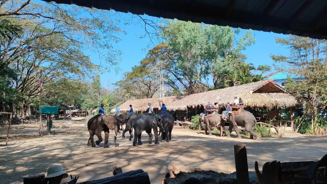 Maetaman Elephant Camp 주변 호텔