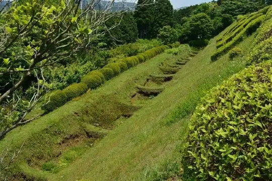 Hotels near Yamanaka Castle Ruins