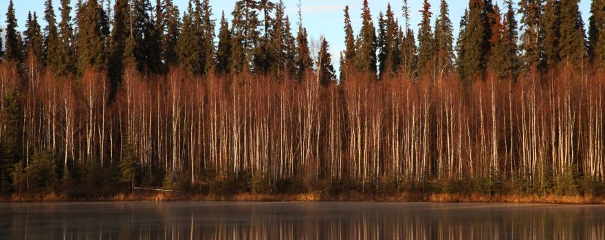 Chena River State Recreation Area