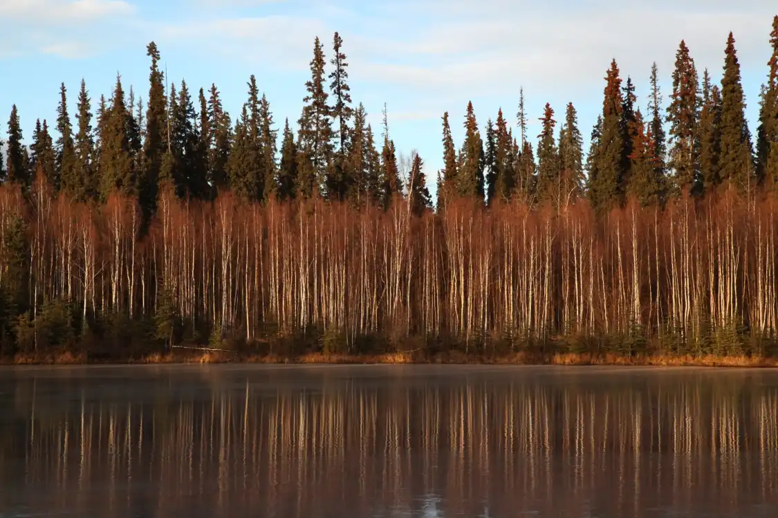 Hotels near Chena River State Recreation Area