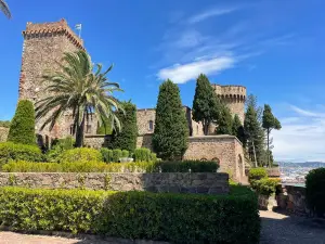 Chateau de la Napoule / Musee Henry-Clews
