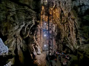 Moaning Caverns Adventure Park