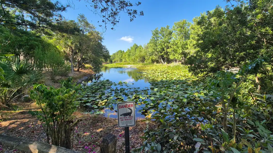 Hotels near Florida Botanical Gardens