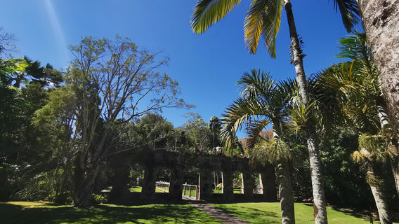 Martinique