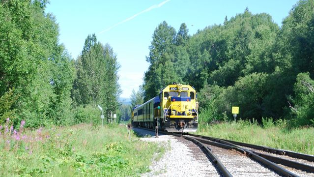 Denali View Raft Adventures LLC.