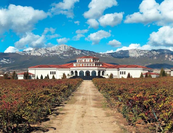 Bodegas Campillo