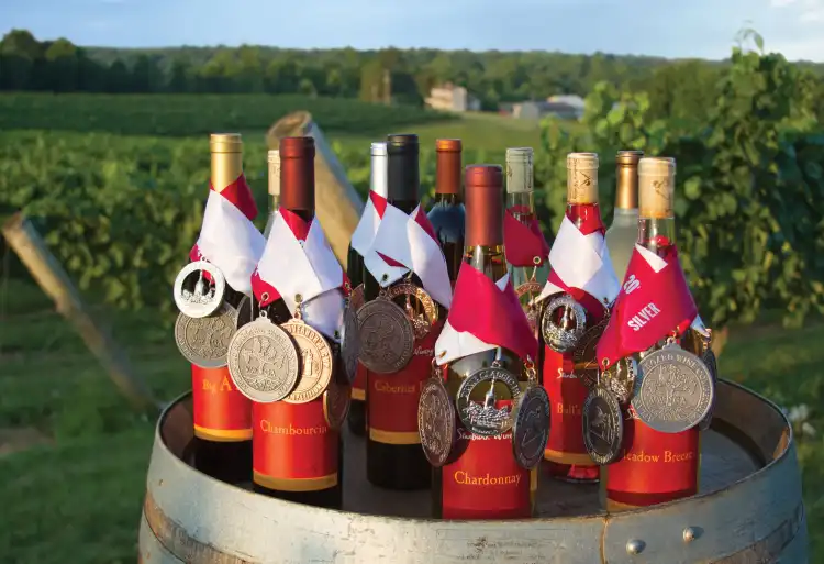 피터스 크릭 호텔