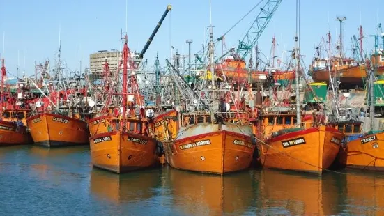 Puerto de Mar del Plata