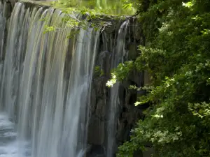 Cedarock Park