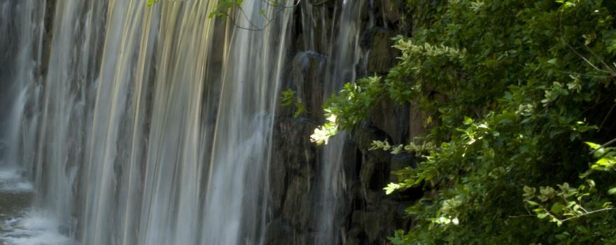 Cedarock Park