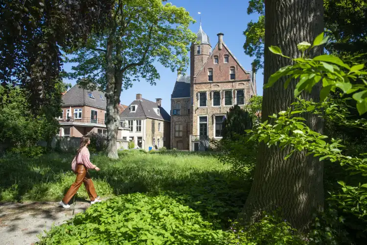 Hotels in Franeker