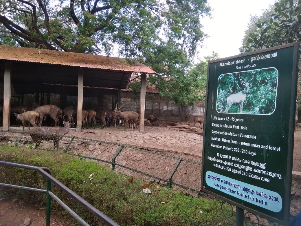 2_Thrissur Zoo & Museum