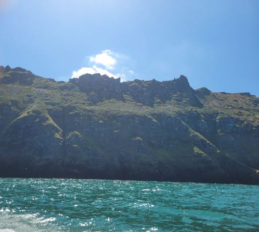 Ilfracombe Sea Safari