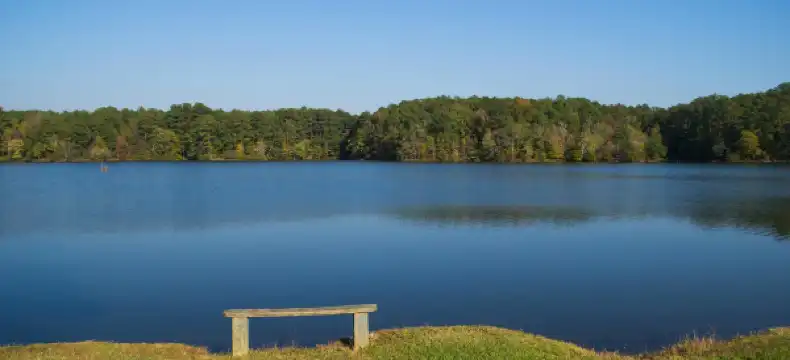 Hotels in Walker County