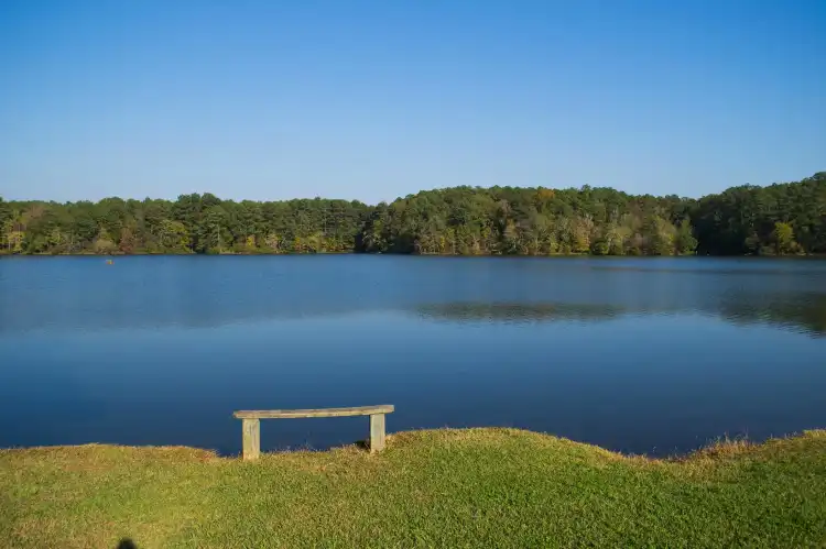 Các khách sạn ở Walker County