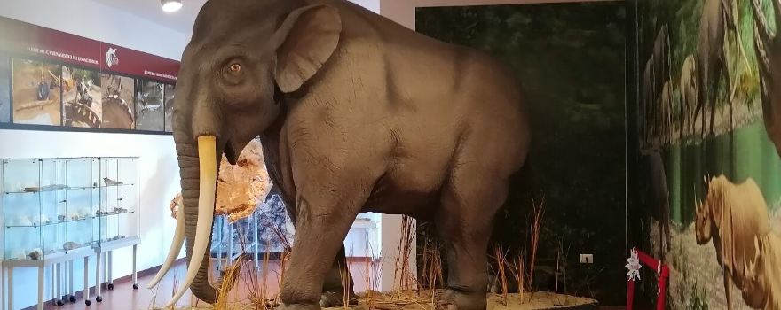 Museo Naturalistico e Paleontologico