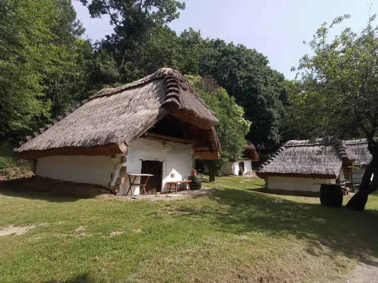 Cák