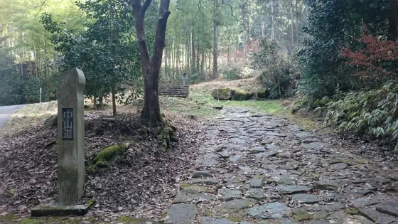 Stone Pavement In Ochiai