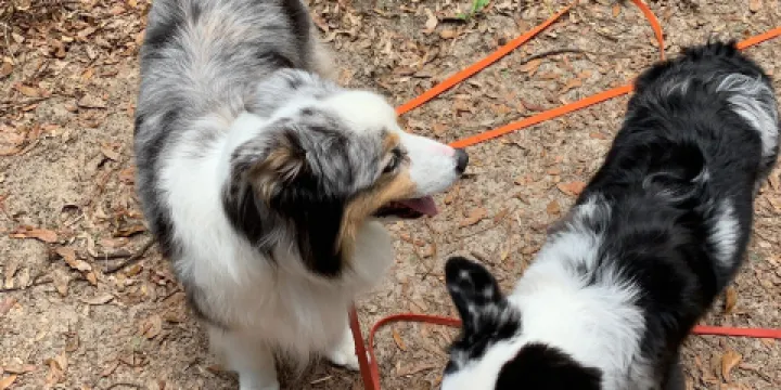 Whispering Pines Park