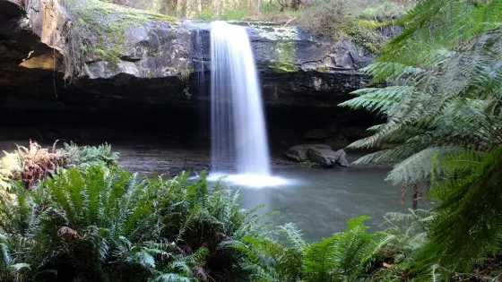 Lower and Upper Kalimna Falls
