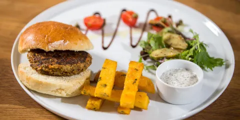 Dr Beynon's Bug Farm