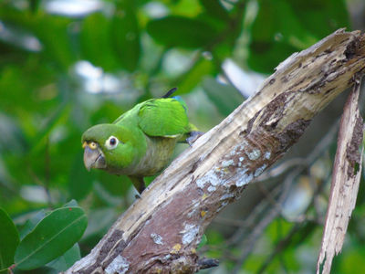 JALTUN PARQUE ECOTURISTICO