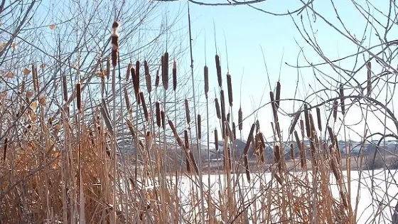 Quincy Reservoir