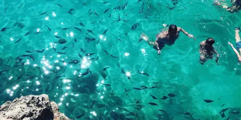 Playa Cala ,n Forcat