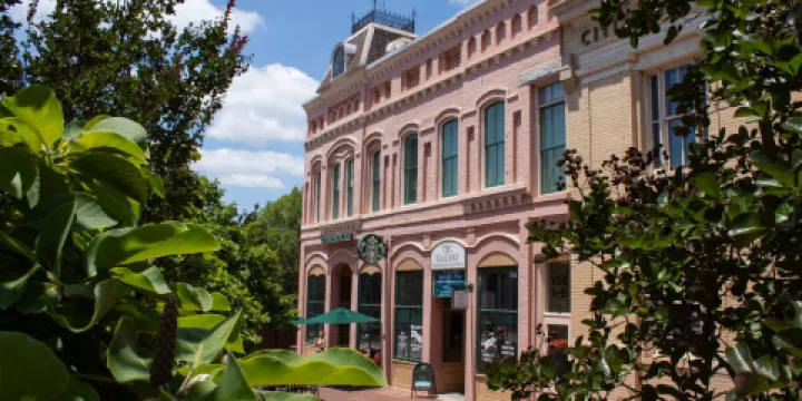 The Johnson Collection