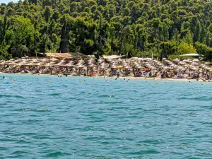 Xenia Beach