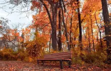 Ташкентский ботанический сад имени академика Ф. Н. Русанова