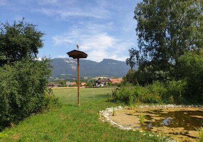 Selzach
