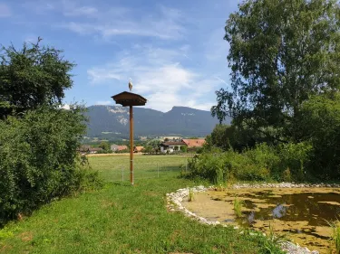 Selzach