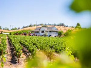 Parrish Family Vineyard