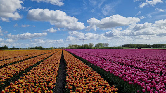Camping Ariënstocht Onderdijk