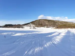 Selholmen