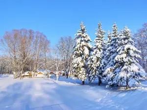 Park Yuriya Gagarina