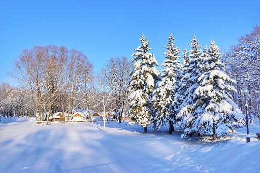 Park Yuriya Gagarina