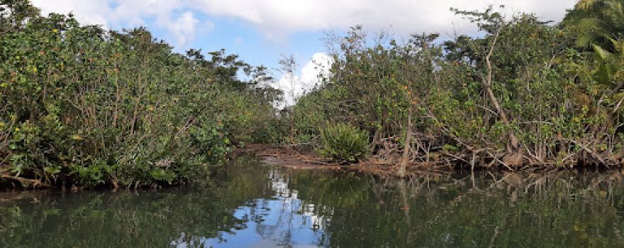 Indian River Tours
