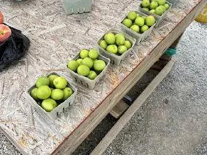 St Clair Farmers Co-Op Inc