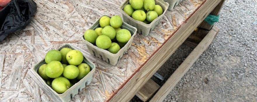St Clair Farmers Co-Op Inc