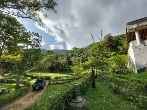 PDG Los Venados