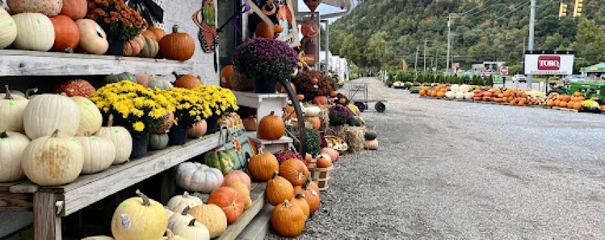 Yard & Nursery Depot